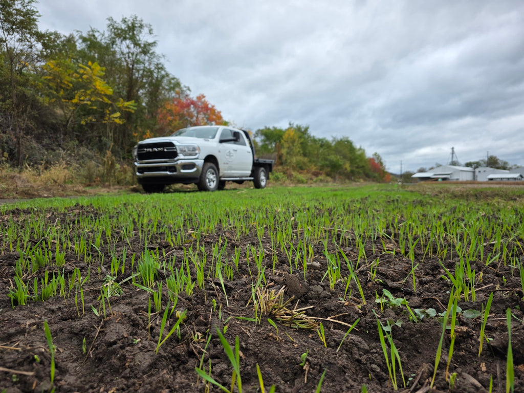 Gunner Triticale