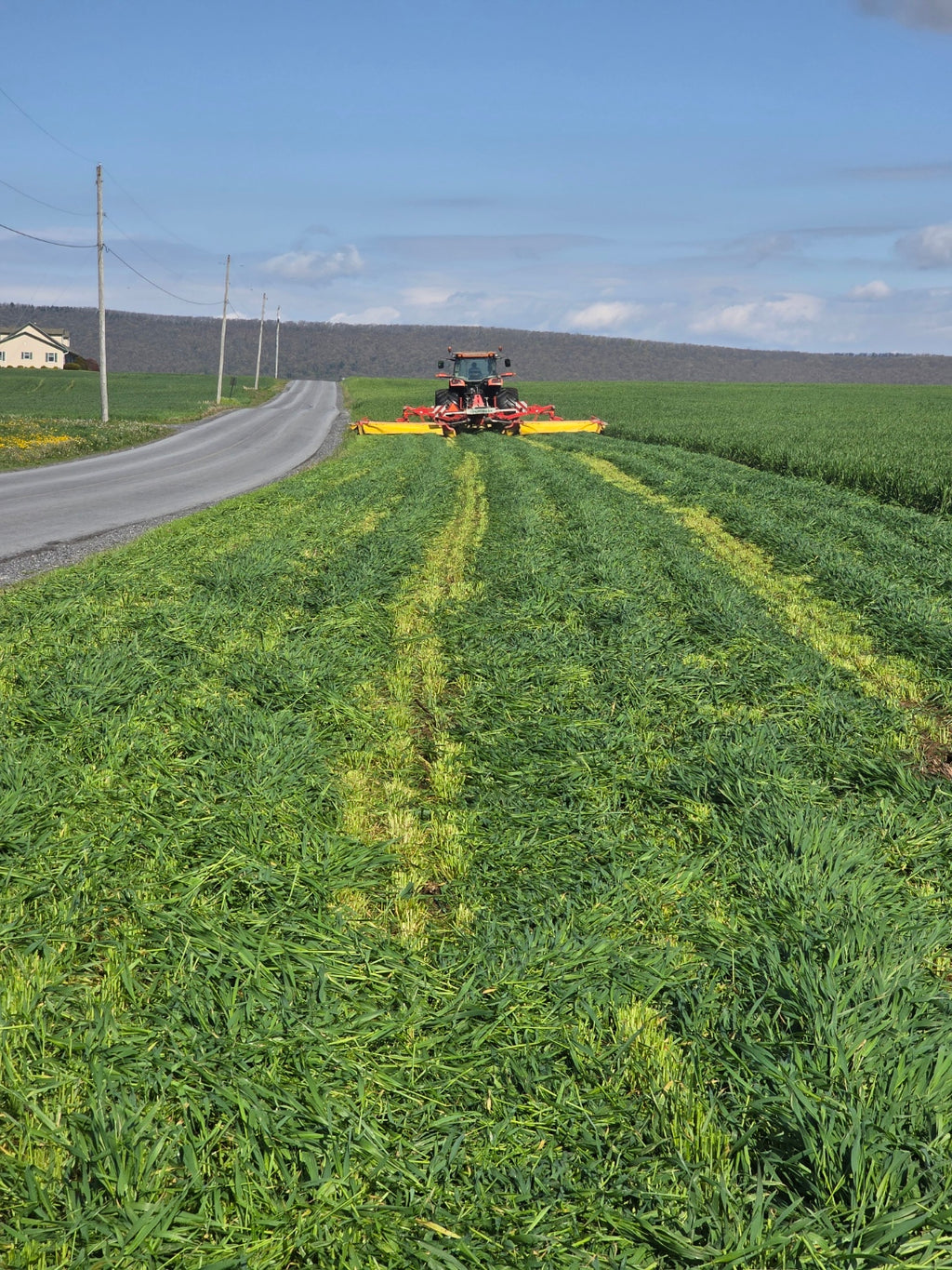 Gunner Triticale