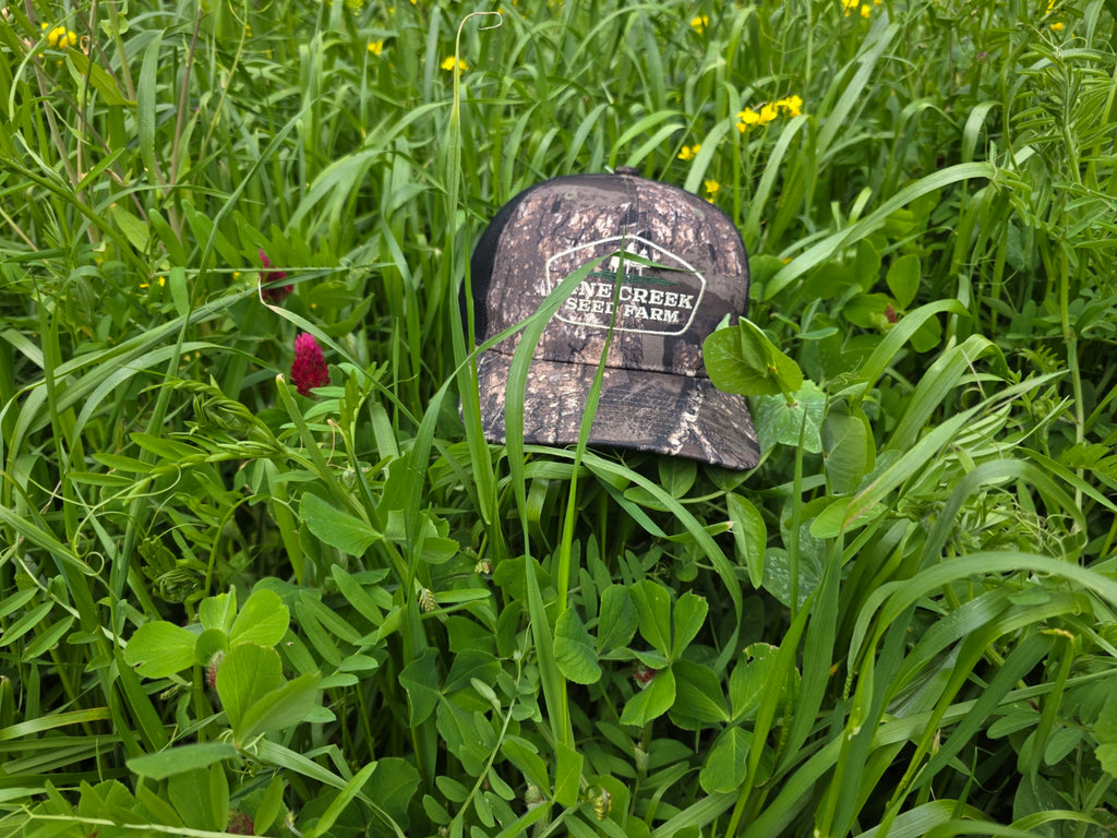 RGA Hairy Vetch