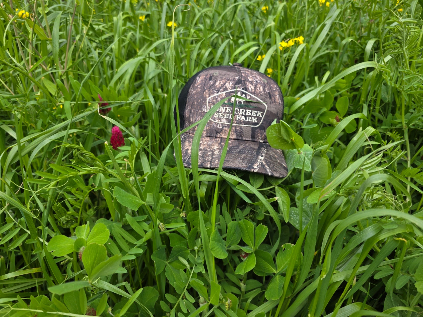 RGA Hairy Vetch