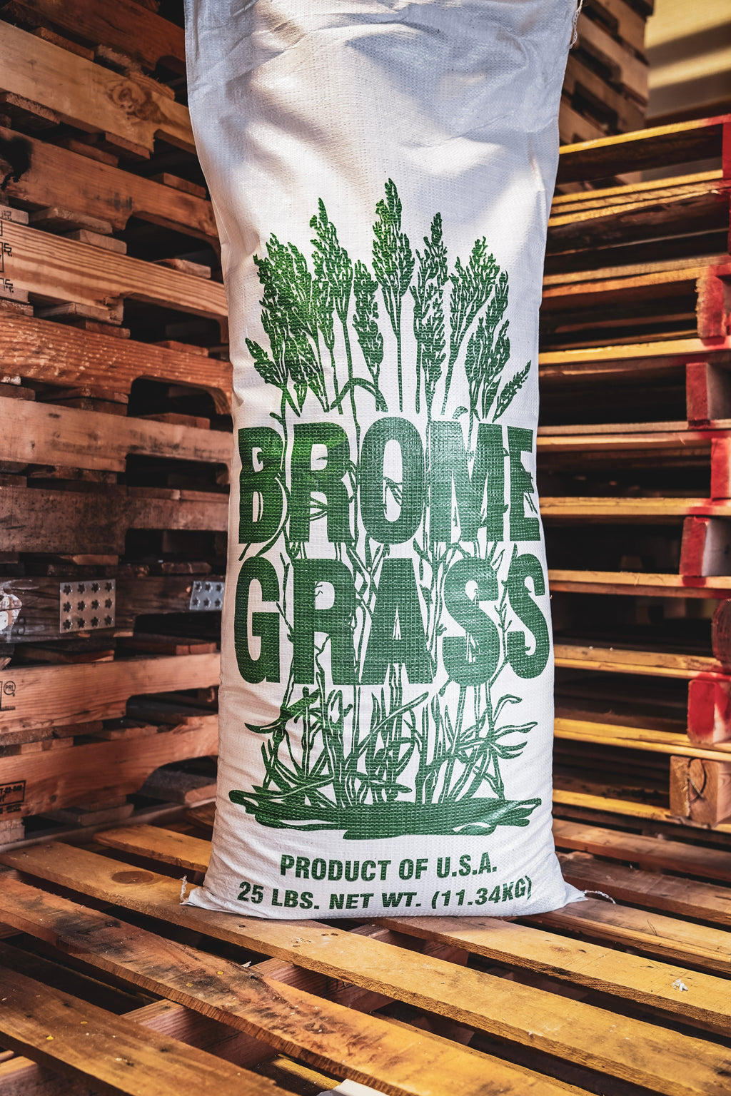 RGA Smooth Bromegrass