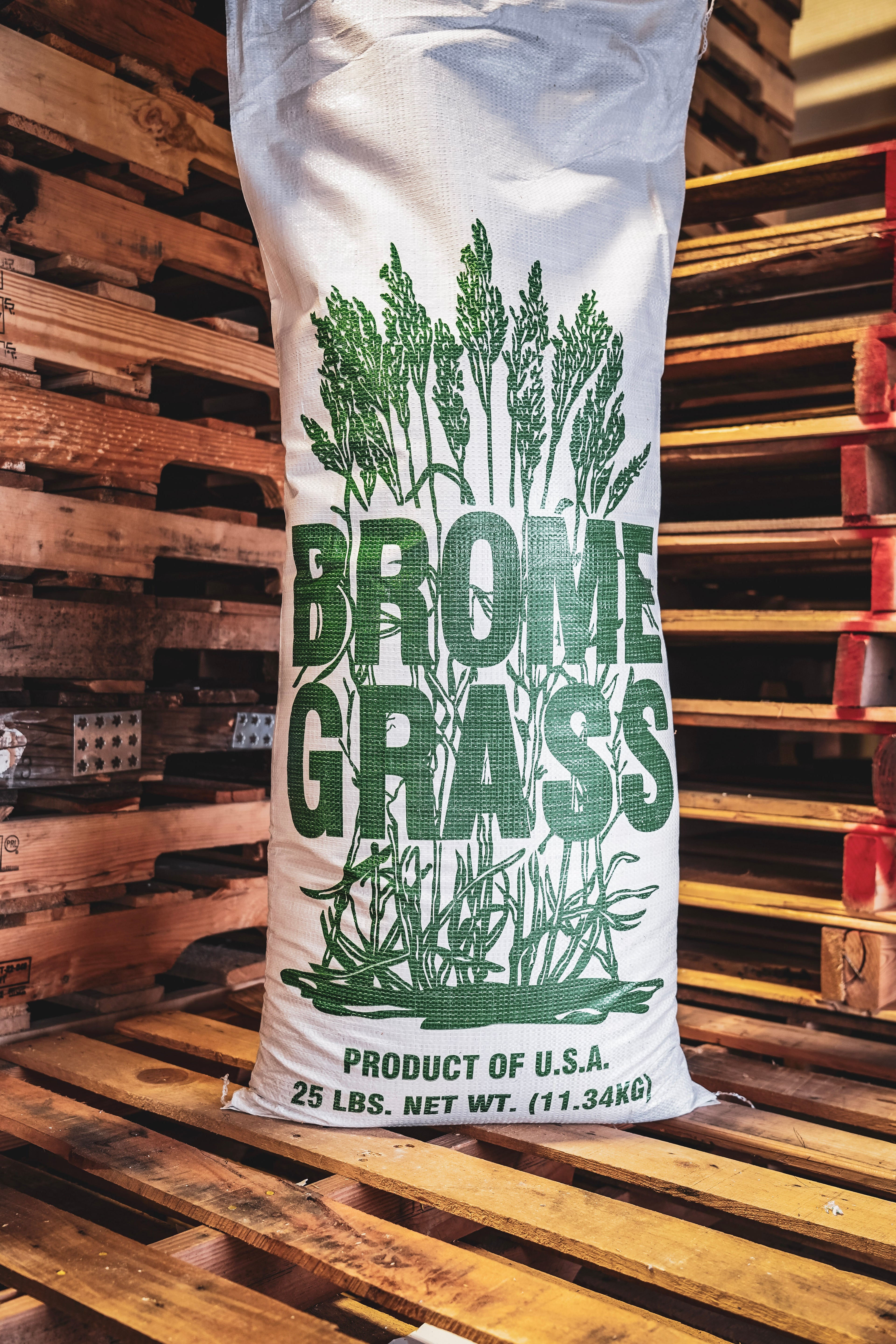 RGA Smooth Bromegrass